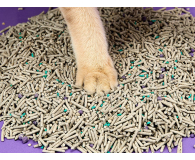 PetKit Żwirek 5w1 do kuwet - 1351303 - zdjęcie 2